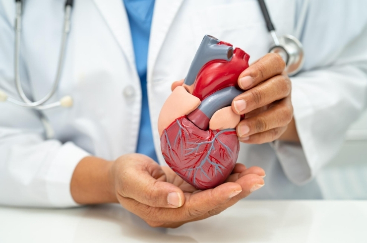 Cardiac Diagnostics
